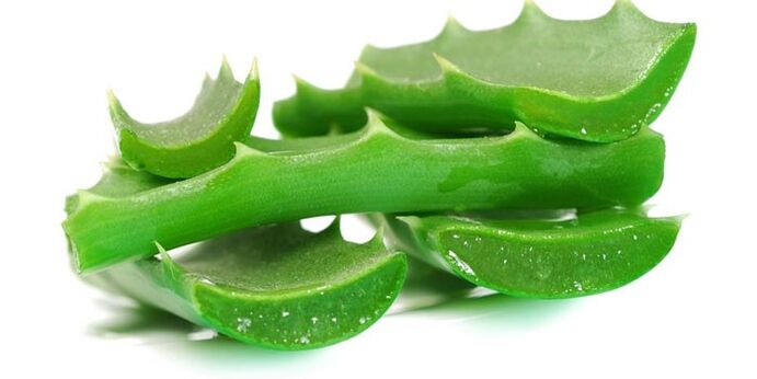 Aloe fir d'Behandlung vum Neel Pilz